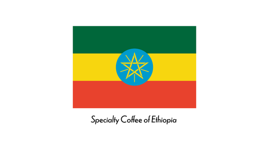 スペシャルティコーヒー辞典：エチオピア - Blackhole Coffee Roaster