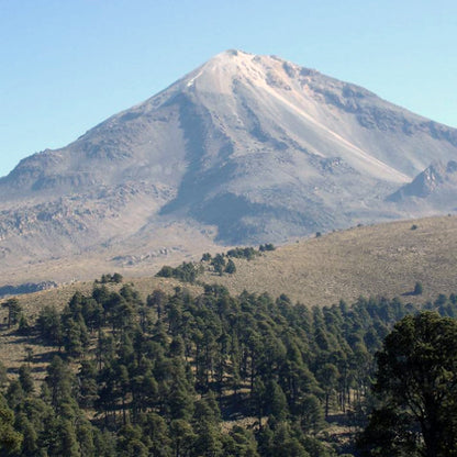 メキシコの山と森の風景